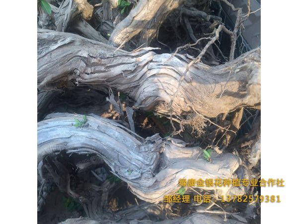 五年以上 五年以上