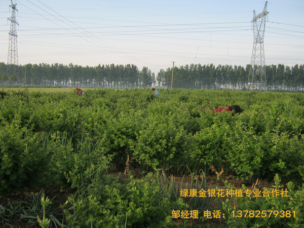 2017年新品 2017年新品