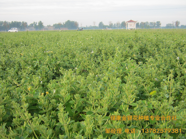 2017年新品 2017年新品