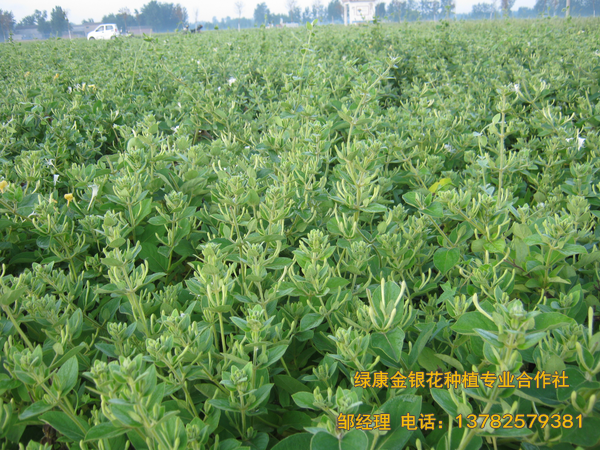 2017年新品 2017年新品