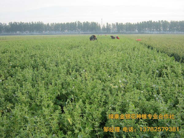 2017年新品 2017年新品