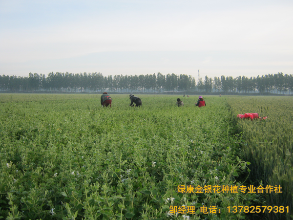 2017年新品 2017年新品