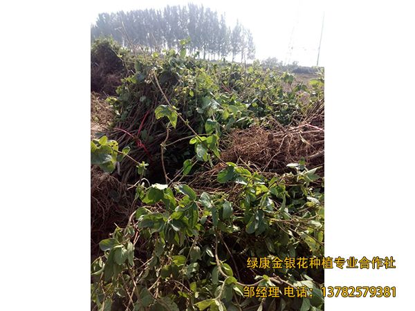 2018年新品 2018年新品