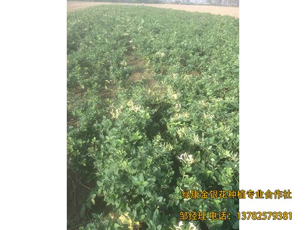 2018年新品 2018年新品