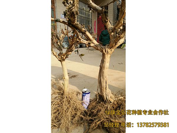 2018年新品 2018年新品