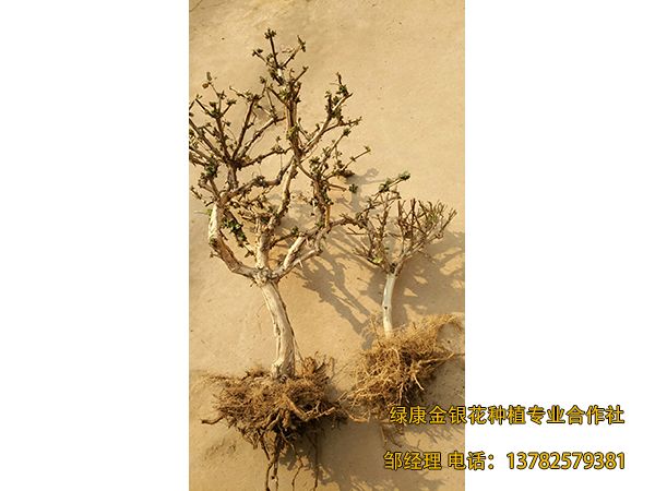 2018年新品 2018年新品