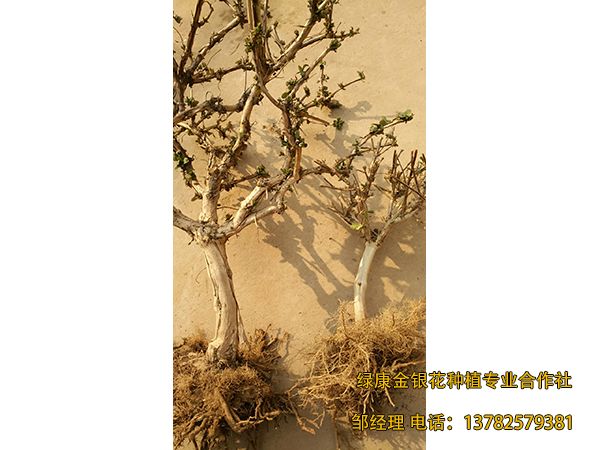 2018年新品 2018年新品