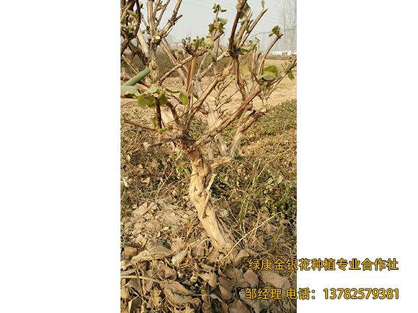 2018年新品 2018年新品