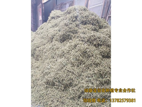 2018年新品 2018年新品