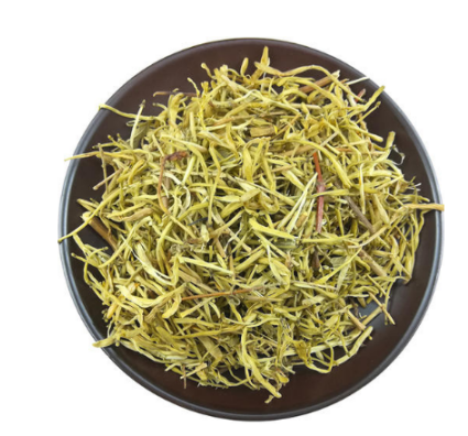 樹形金銀花苗 樹形金銀花苗