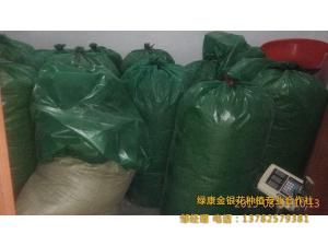 金銀花成品包裝