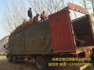 2016年11月份發貨