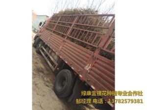 2016年11月份發(fā)貨